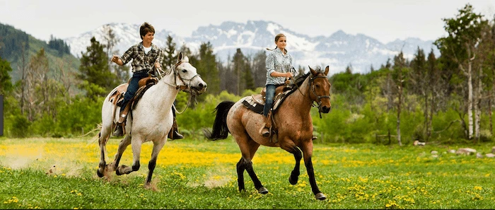 Confident plus-size woman riding Bagshot a horse through a field with a smile on her face.